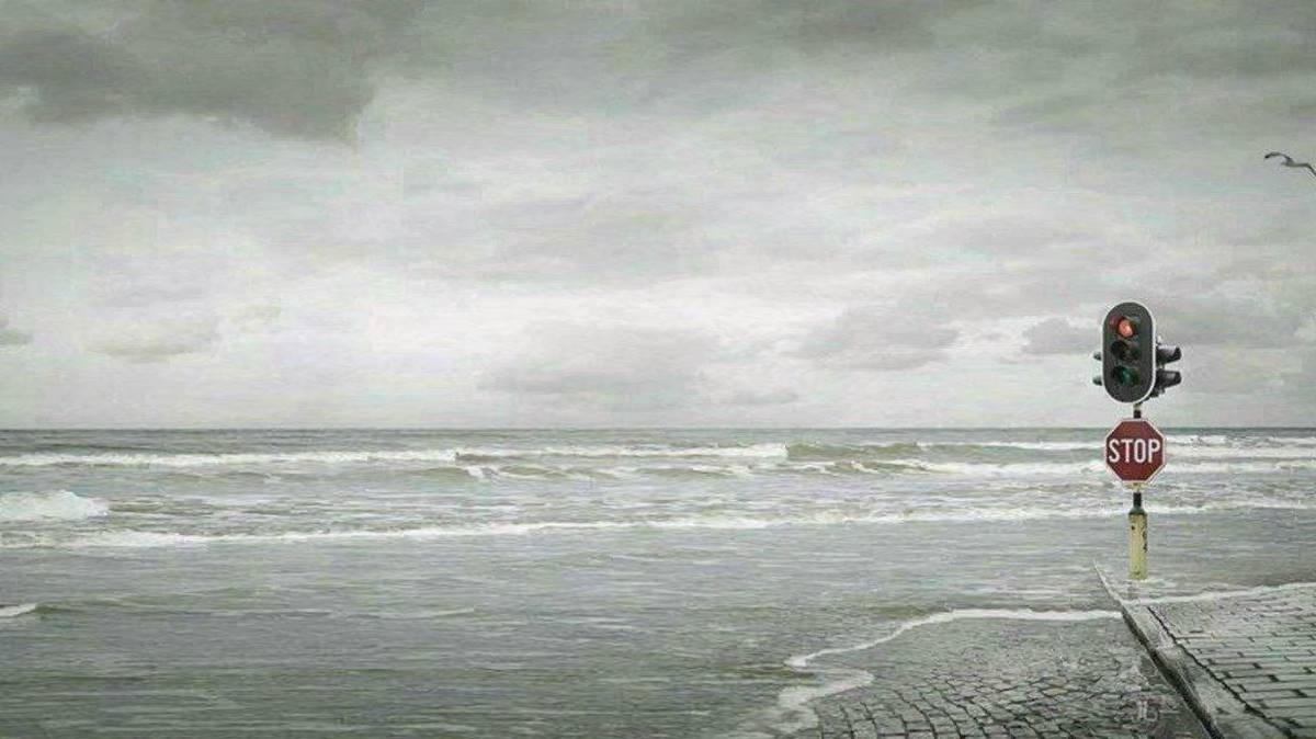 شاه داف تهرون کامل